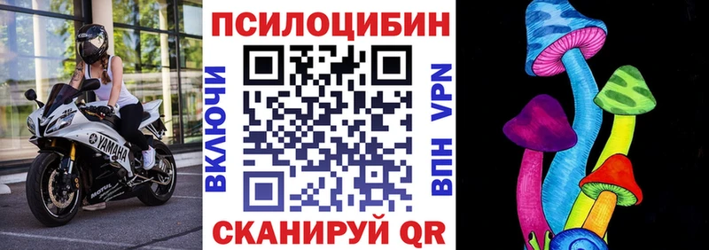 Псилоцибиновые грибы MAGIC MUSHROOMS  дарнет шоп  Котовск 